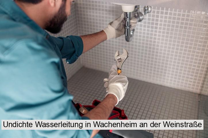 Undichte Wasserleitung in Wachenheim an der Weinstraße